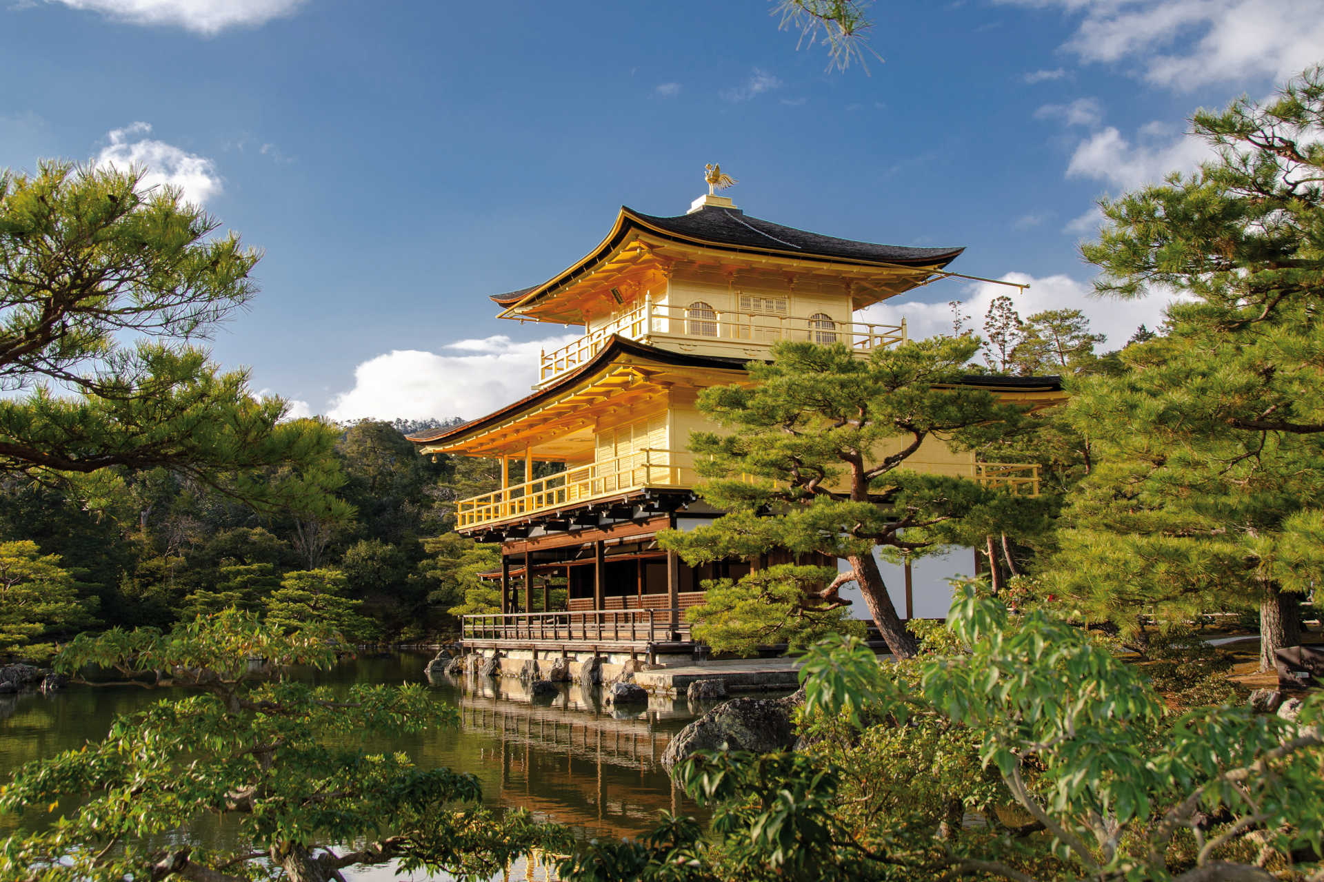 Kinkaku-ji, der Goldene Pavillon in Kyoto, umgeben von Garten und Teich