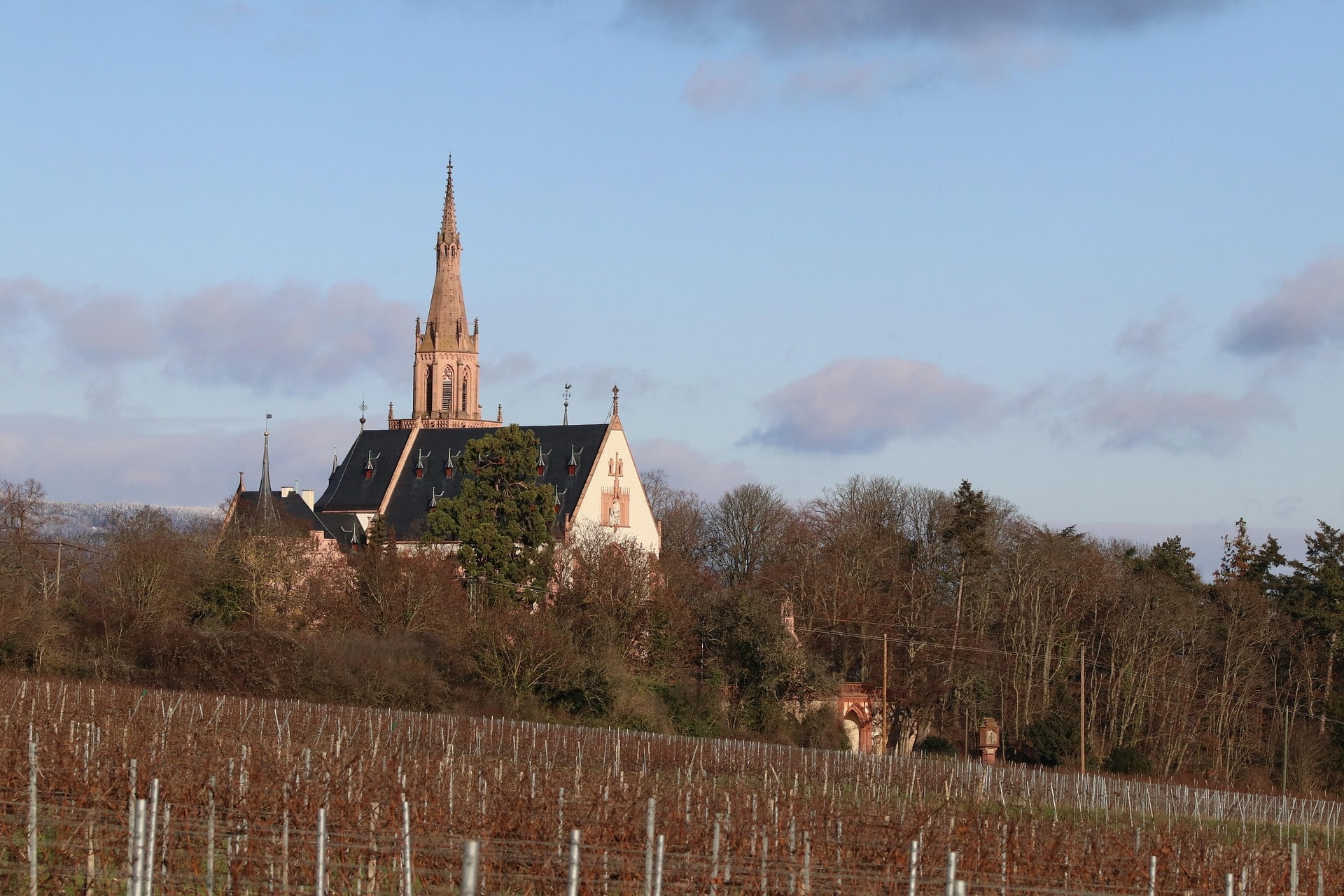 Spitzgiebelige Kirche mit hohem Turm vor Reben