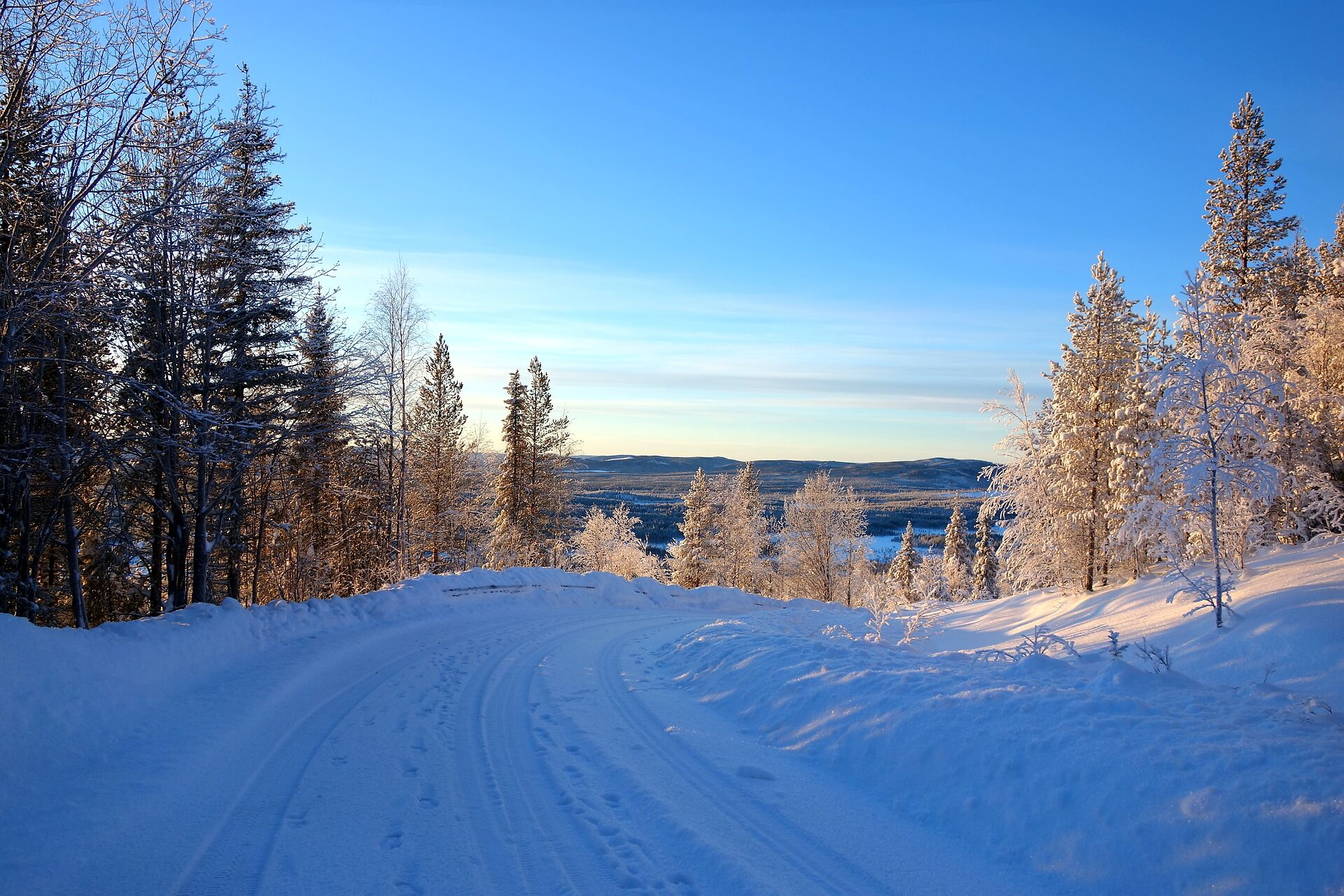 Verschneite Straße durch Wald mit glitzernden Bäumen im Sonnenlicht