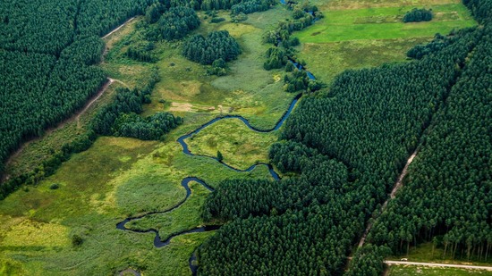 Schmaler Fluss schlängelt sich durch Wälder und grüne Wiesen