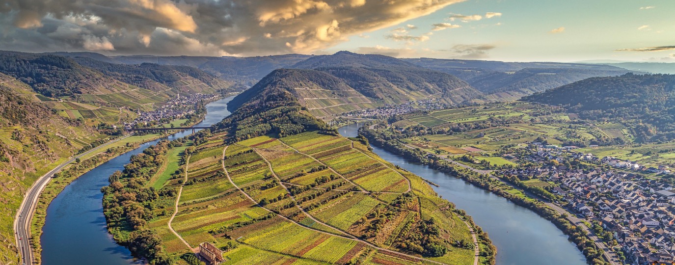 Flussschleife mit Weinbergen und Dörfern im Abendlicht aus der Luft